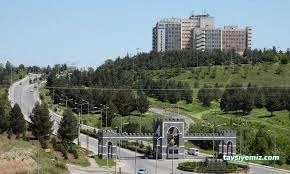 Dicle Üniversitesi
