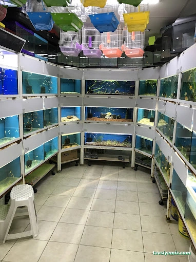 Dilan Akvaryum Petshop