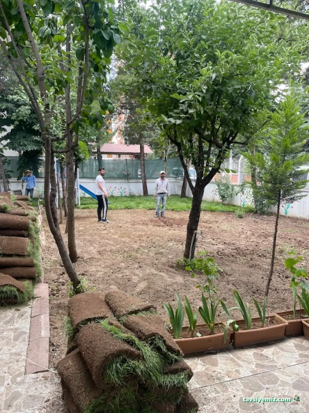 Diyarbakır Peyzaj Firması Elif Peyzaj