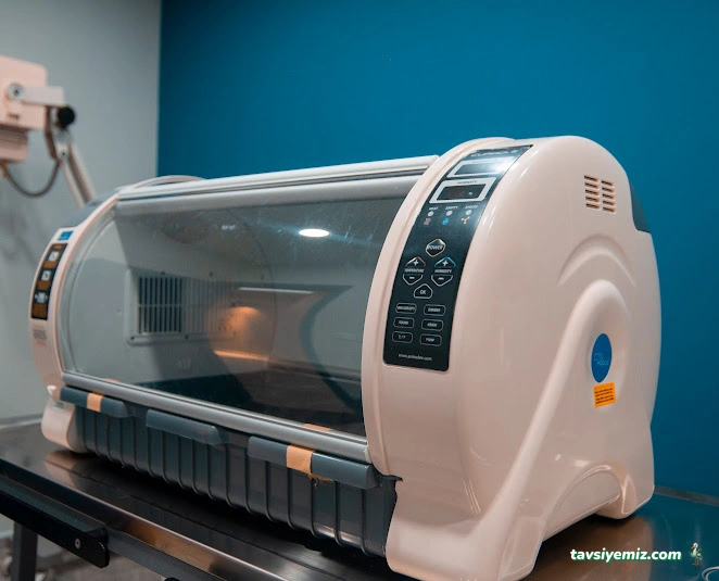 Dobby Veteriner Polikliniği I 7/24 Acil Veteriner I Ataevler Veteriner I Nilüfer Veteriner I Nöbetçi Veteriner