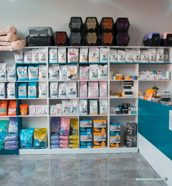 Dobby Veteriner Polikliniği I 7/24 Acil Veteriner I Ataevler Veteriner I Nilüfer Veteriner I Nöbetçi Veteriner