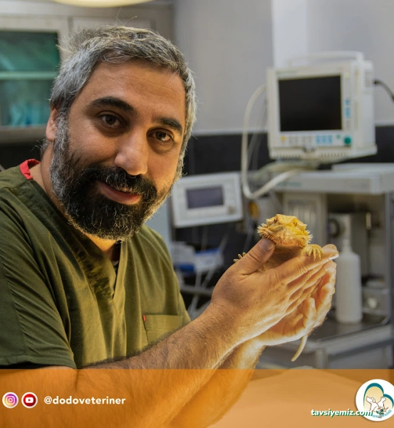 Dodo Veteriner Polikliniği