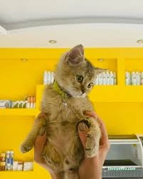 Doğa Pet Veteriner Kliniği