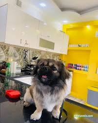 Doğa Pet Veteriner Kliniği