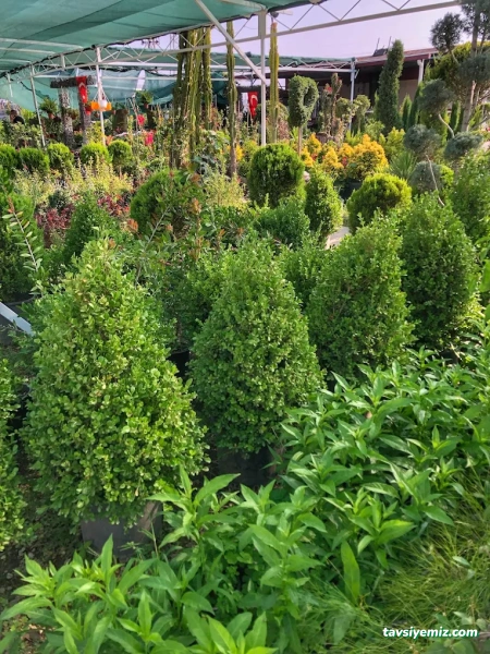 Doğa Peyzaj Osmaniye