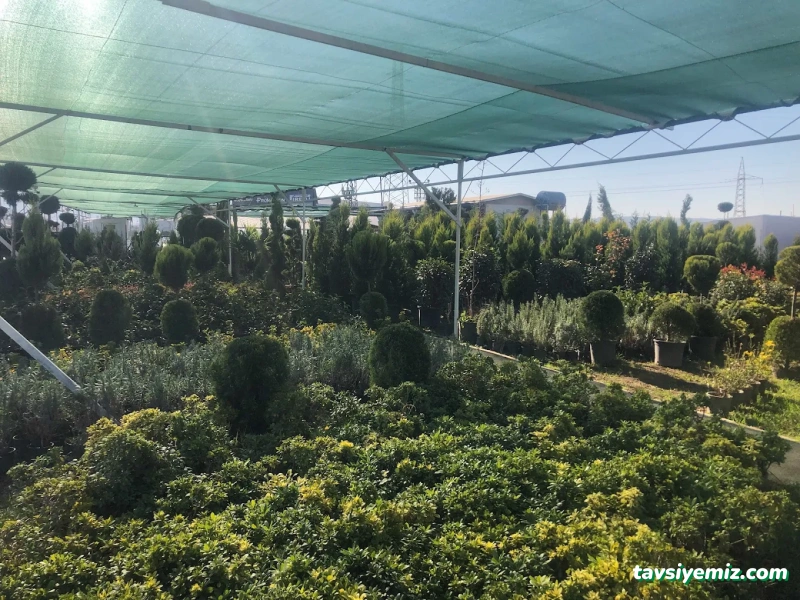 Doğa Peyzaj Osmaniye