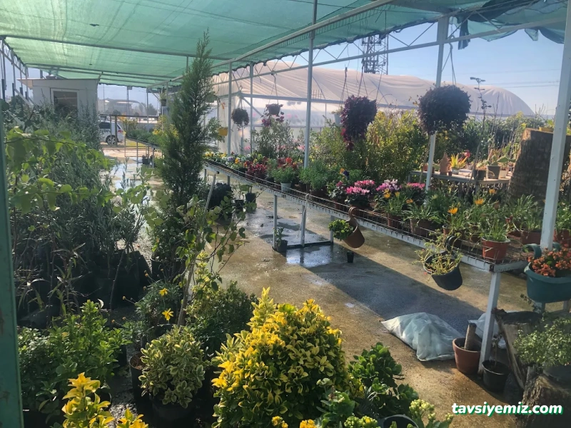 Doğa Peyzaj Osmaniye