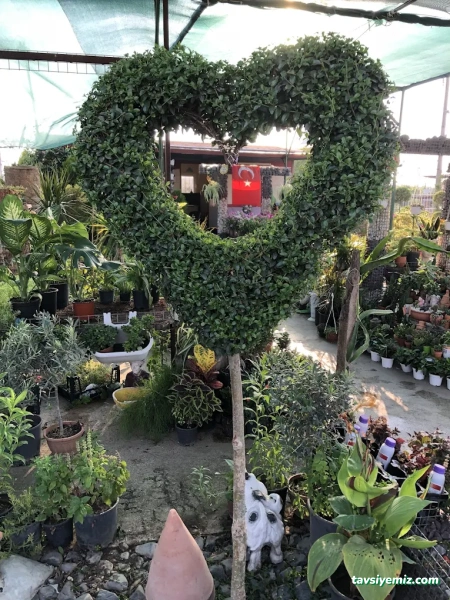 Doğa Peyzaj Osmaniye