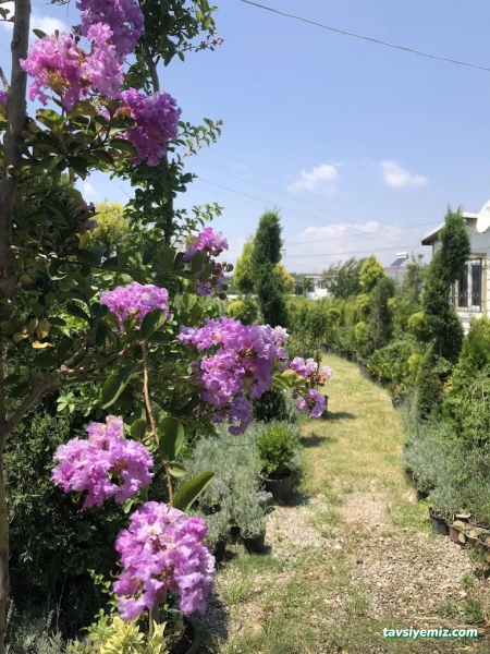 Doğa Peyzaj Osmaniye