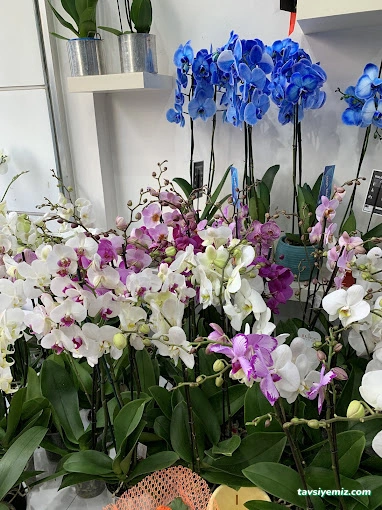 Doğan Çiçekçilik