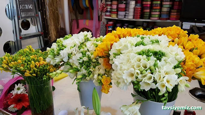 Doğan Çiçekçilik