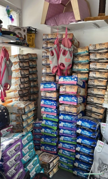 Doğan Petshop 1-Güllük