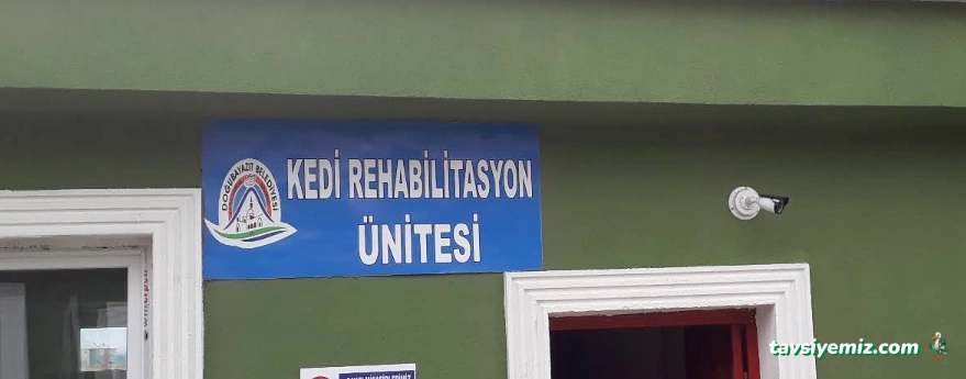 Doğubayazıt Belediyesi Hayvan Bakımevi Barınağı