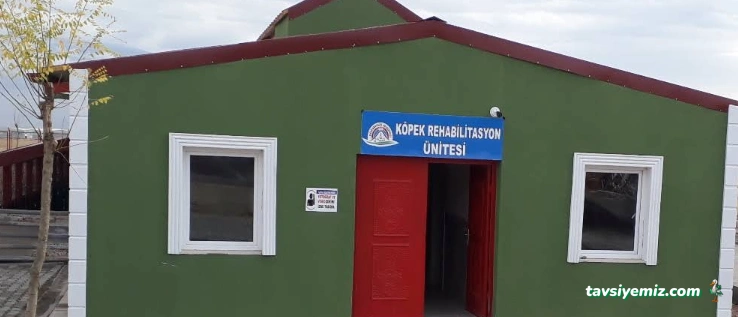 Doğubayazıt Belediyesi Hayvan Bakımevi Barınağı