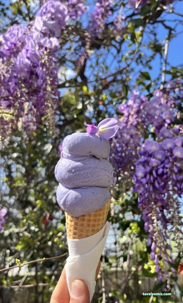 Dondurmacı Hasan Usta