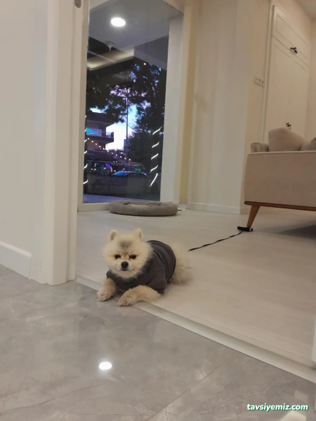 Dorestmen Erkeklere Özel Estetik, Epilasyon, Diyet Ve Cilt Bakımı Merkezi