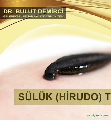 Dr. Bulut Demirci Geleneksel Ve Tamamlayıcı Tıp Ünitesi