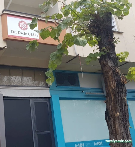 Dr. Dicle Ulu Hacamat, Akupunktur, Mezoterapi, Hipnoz Eskişehir