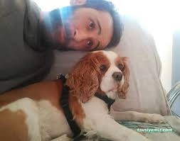 Dr. Haw. Hayvan Sağlığı Merkezi