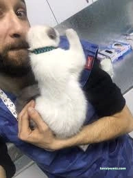 Dr. Haw. Hayvan Sağlığı Merkezi