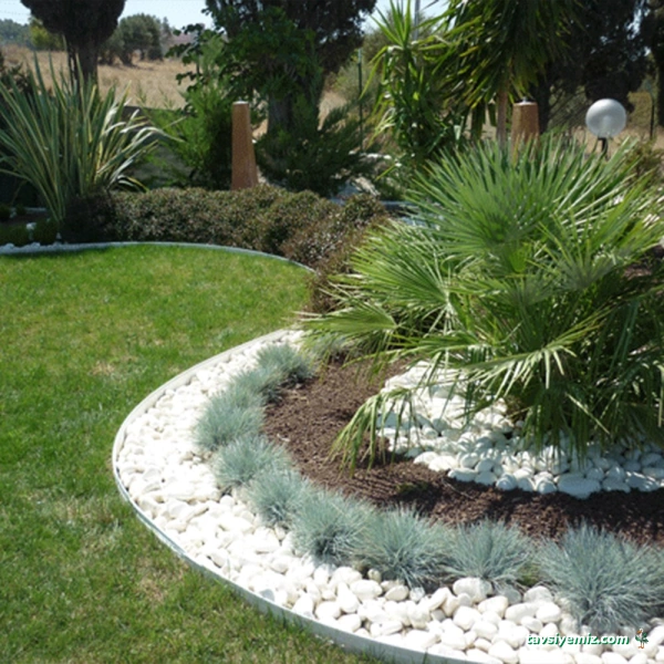 Dr. Mor Salkım Peyzaj Çiçekçilik