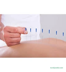 Dr. Öğr. Üyesi Kadir Göde | Trabzon Fizik Tedavi Ve Rehabilitasyon Doktoru