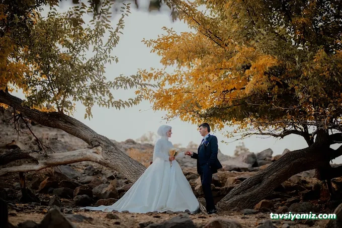 Drone Bingöl - Mehmet Can Kaya Dış Çekim Klip Hizmetleri