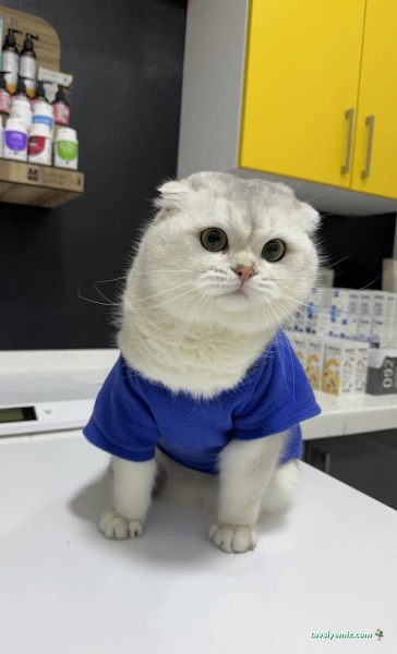 Dr.pati Veteriner Klinigi