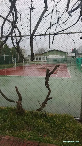 Dsispor Tenis Kulübü