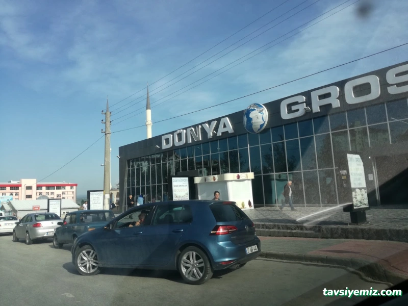 Dünya Gross