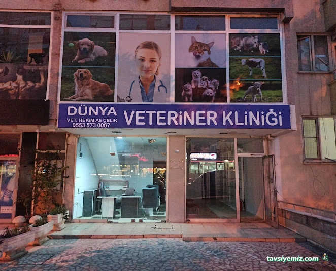Dünya Veteriner Kliniği