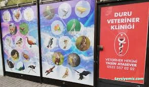 Duru Veteriner Kliniği/Kanatlı Hayvan Kliniği