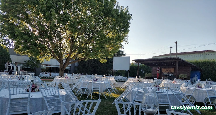 Düzce Ayışığı Kır Düğünü Ve Cafe