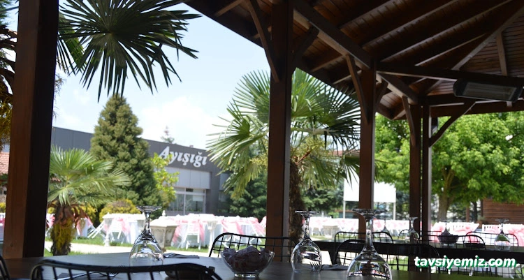 Düzce Ayışığı Kır Düğünü Ve Cafe