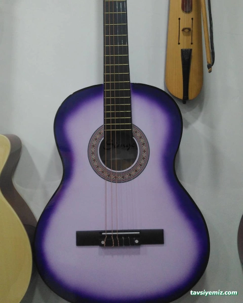 Düzce Müzik Aletleri