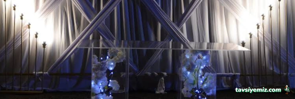 Düzce Organizasyon  Curcuna