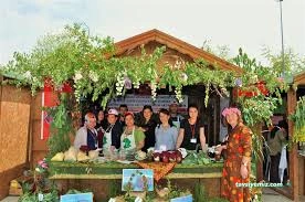 Düzce Otları Tyche Bereket Festivali