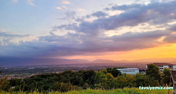 Düzce Seyir Terası