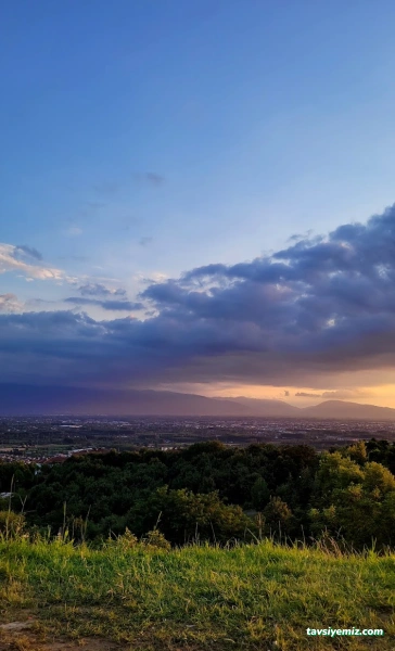 Düzce Seyir Terası