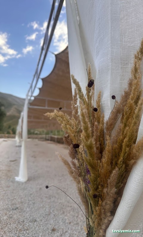 Havin Kır Düğün Evi