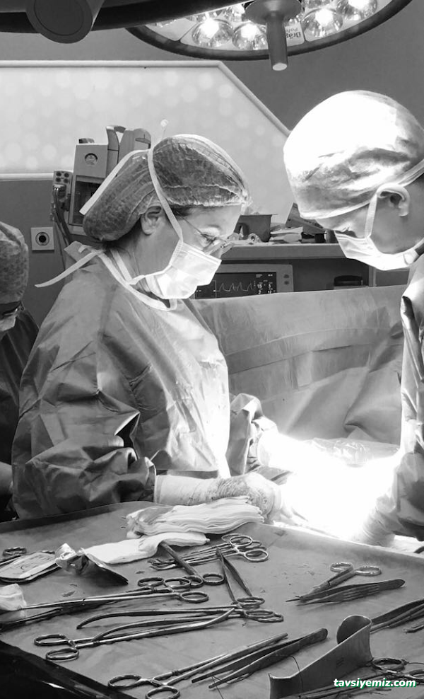 Tüp Bebek Tedavisi İstanbul - Prof. Dr. Nilgün Turhan