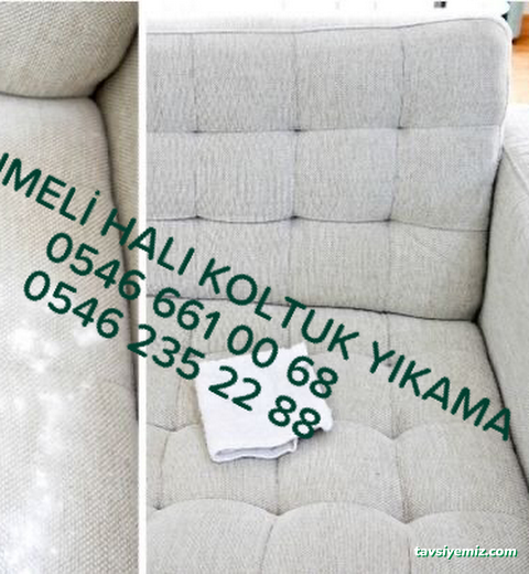 Aksaray Hanımeli Halı Yıkama