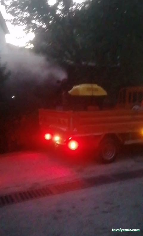 Üçgen Haşere Kontrol Servisi