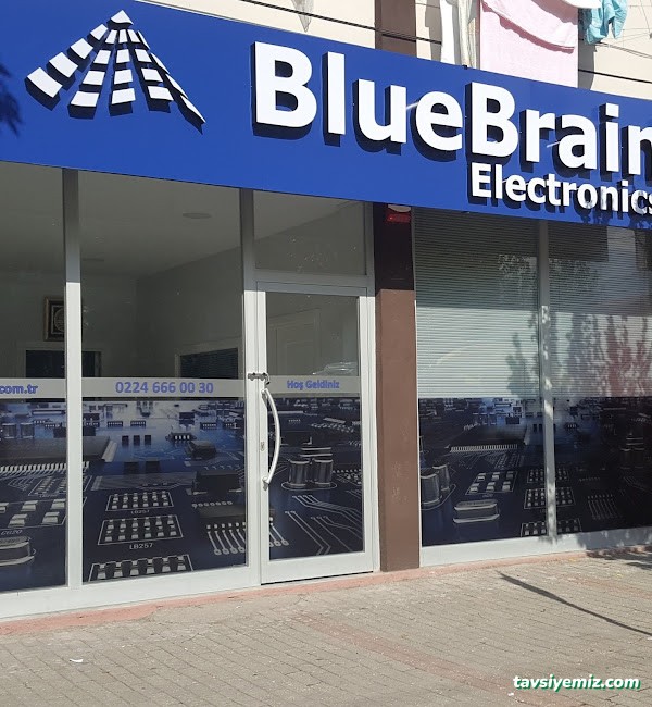 Bluebrain Electronics
