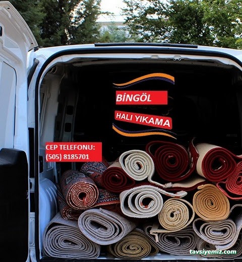 Bingöl Halı Yıkama