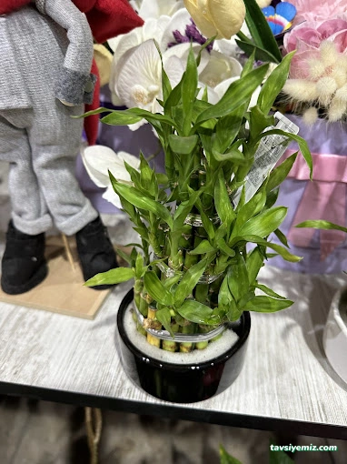 Edirne Belinay Çiçekçilik