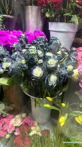 Edirne Belinay Çiçekçilik