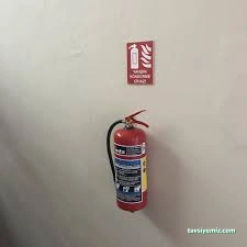 Edz Yangin Güvenlik