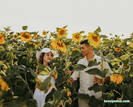 Efe Fotoğraf Prodüksiyon