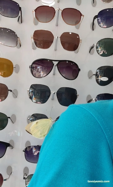 Efe Optik Gözlük Lens